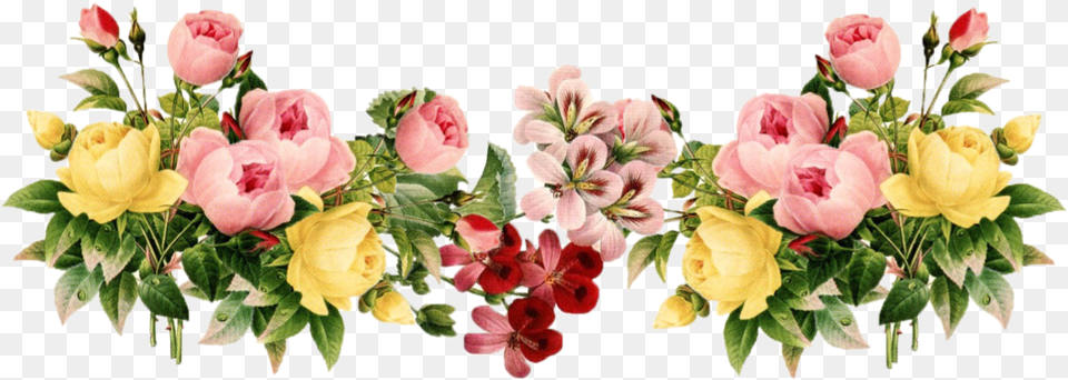 Flores Thumb Image Background Transparent Flower, Art, Plant, Petal, Pattern Free Png Download
