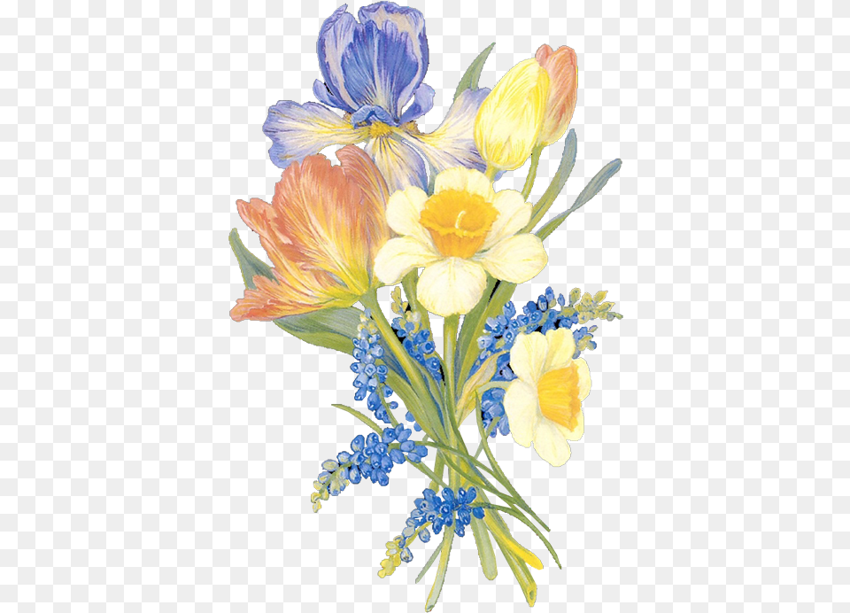 Flores Y Letras Para Decoupage, Plant, Flower Bouquet, Flower Arrangement, Flower Free Png