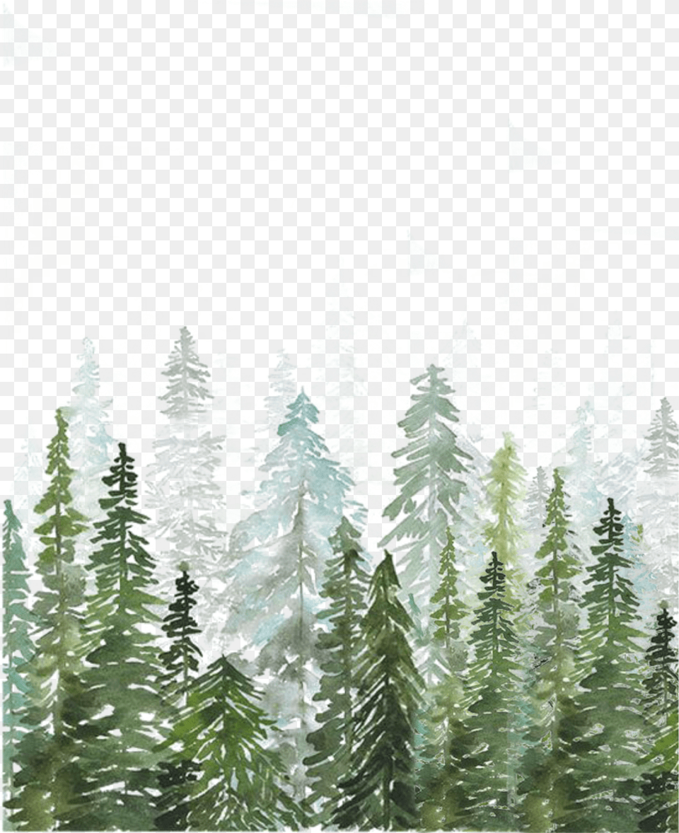 Florest Freetoedit Watercolor Pine Tree Forest Free Transparent Png