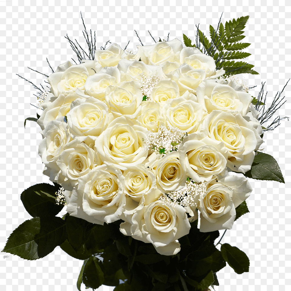 Flori De La Multi Ani, Flower, Flower Arrangement, Flower Bouquet, Plant Png