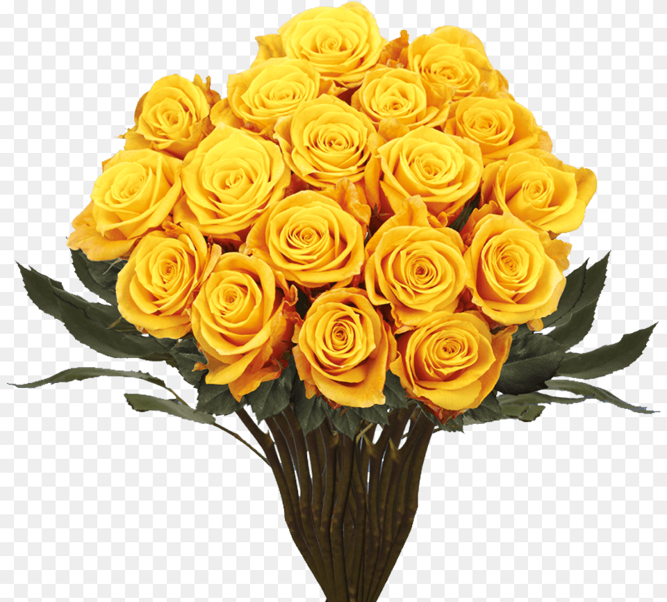 Floribunda, Flower, Flower Arrangement, Flower Bouquet, Plant Png Image