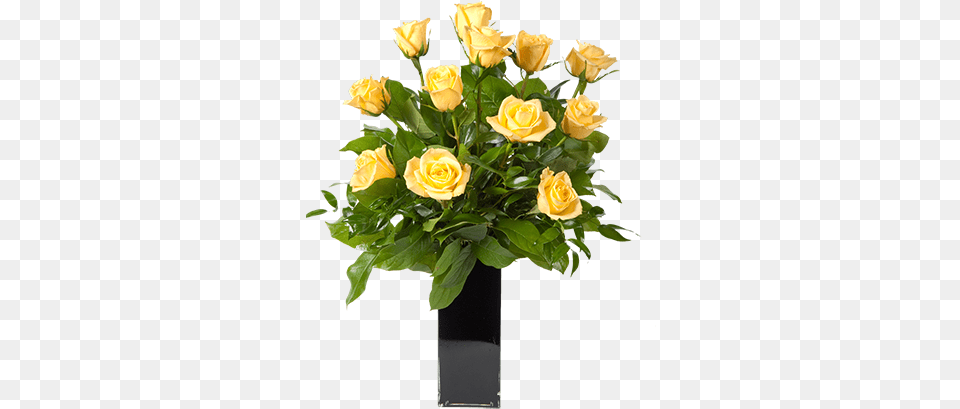 Floribunda, Flower, Flower Arrangement, Flower Bouquet, Plant Png Image