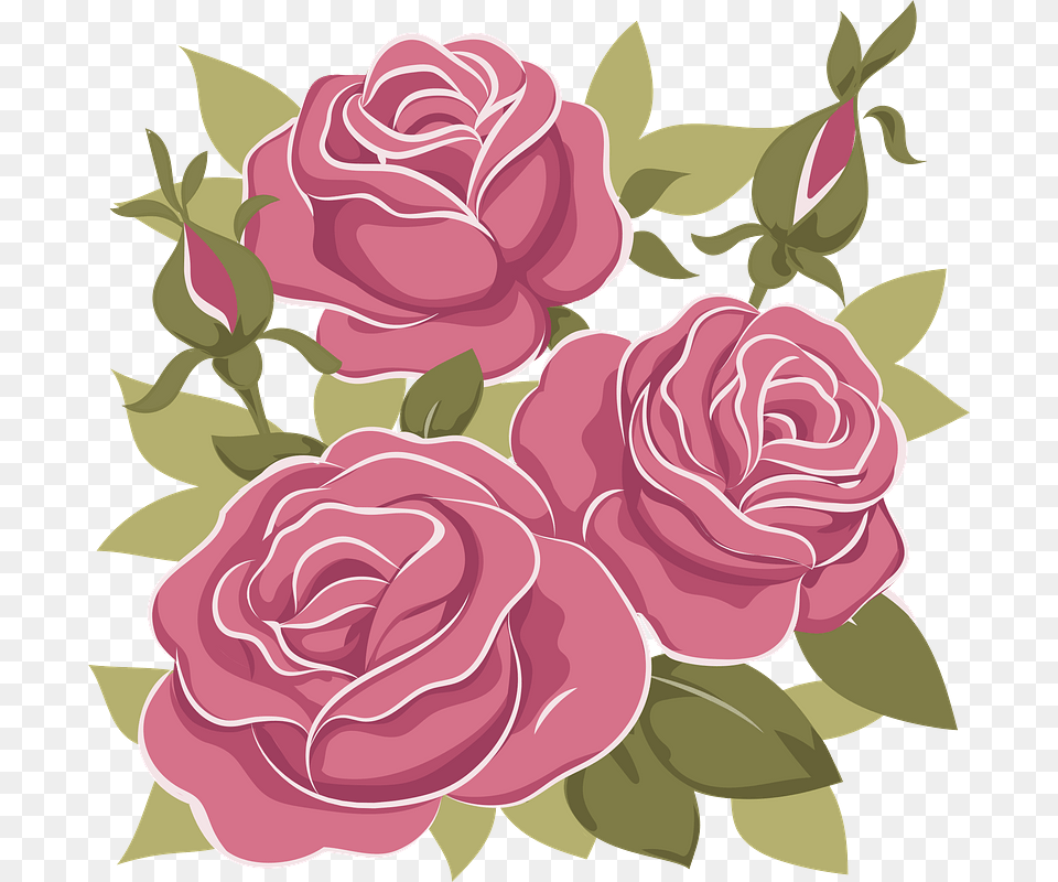 Floribunda, Flower, Plant, Rose, Pattern Free Png Download