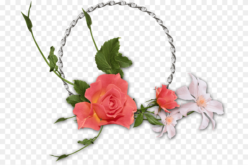 Floribunda, Flower, Flower Arrangement, Flower Bouquet, Plant Free Transparent Png
