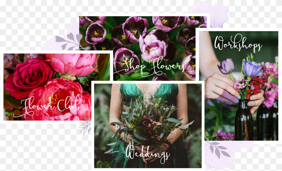 Floribunda, Flower Bouquet, Art, Collage, Rose Png