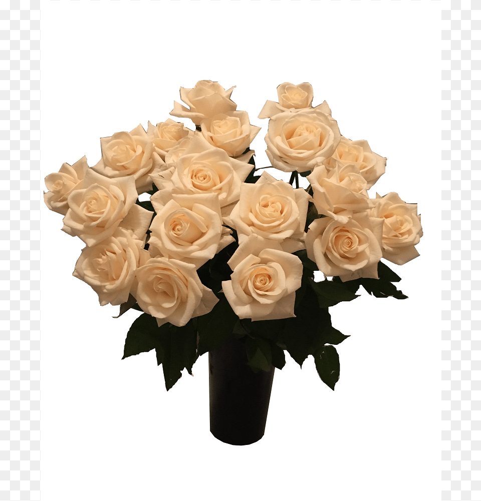 Floribunda, Flower, Flower Arrangement, Flower Bouquet, Plant Free Png Download