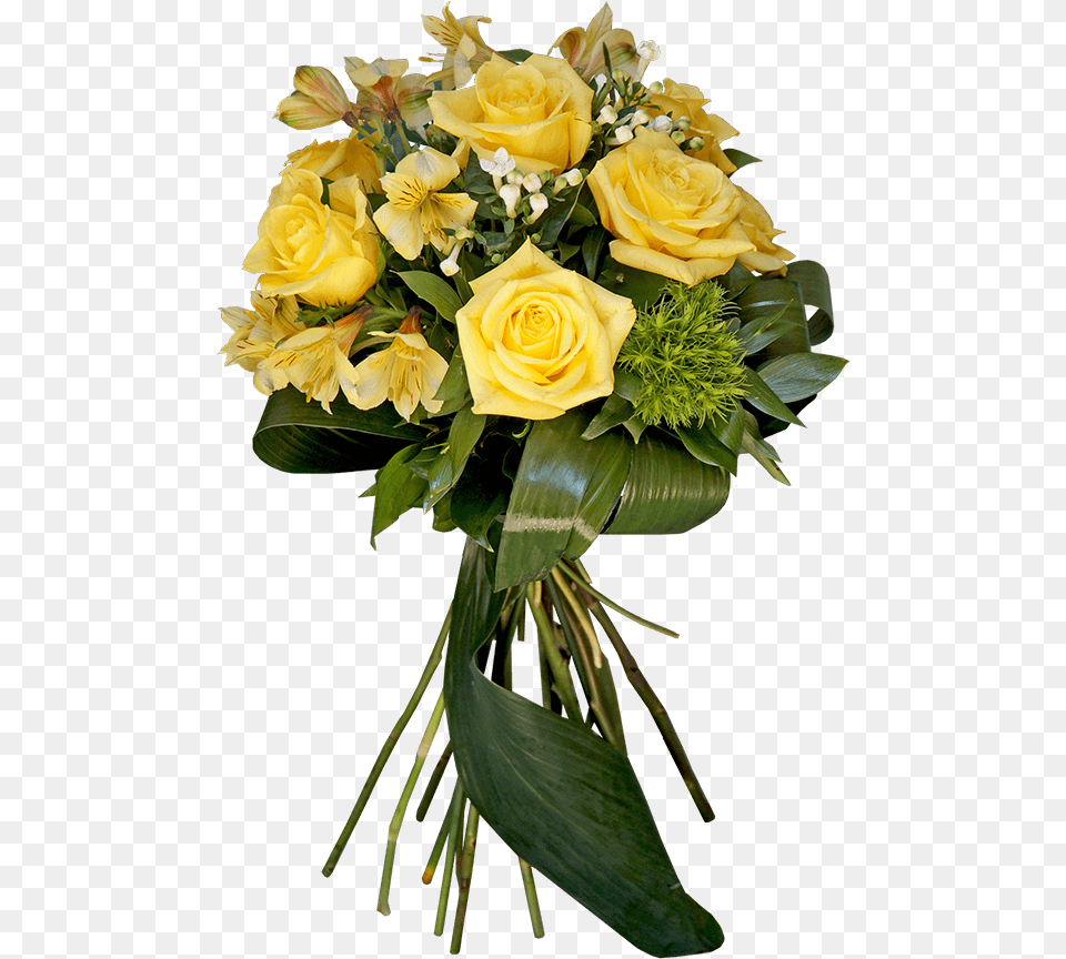 Floribunda, Flower, Flower Arrangement, Flower Bouquet, Plant Free Transparent Png