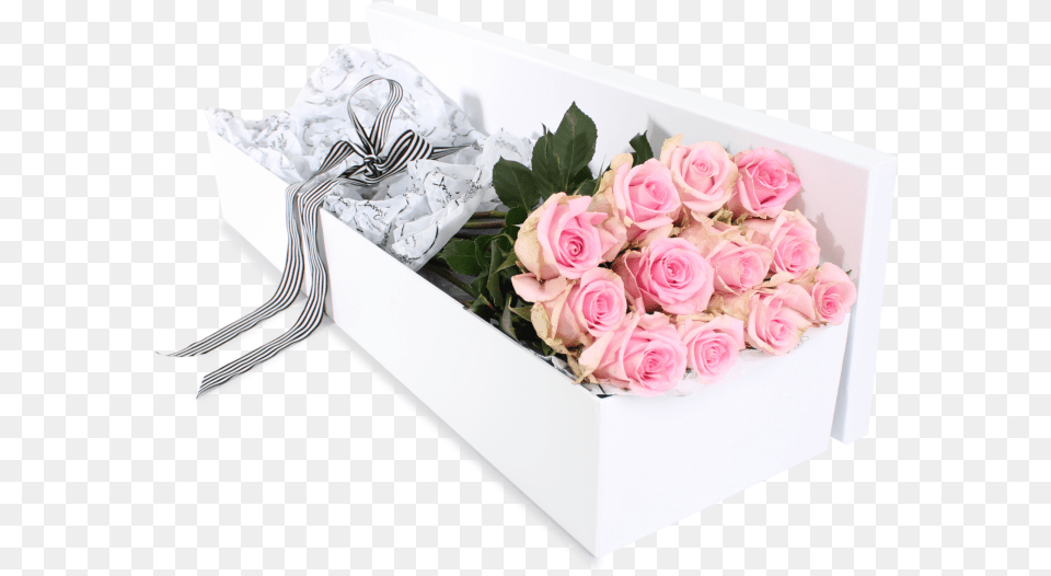 Floribunda, Flower, Flower Arrangement, Flower Bouquet, Plant Png