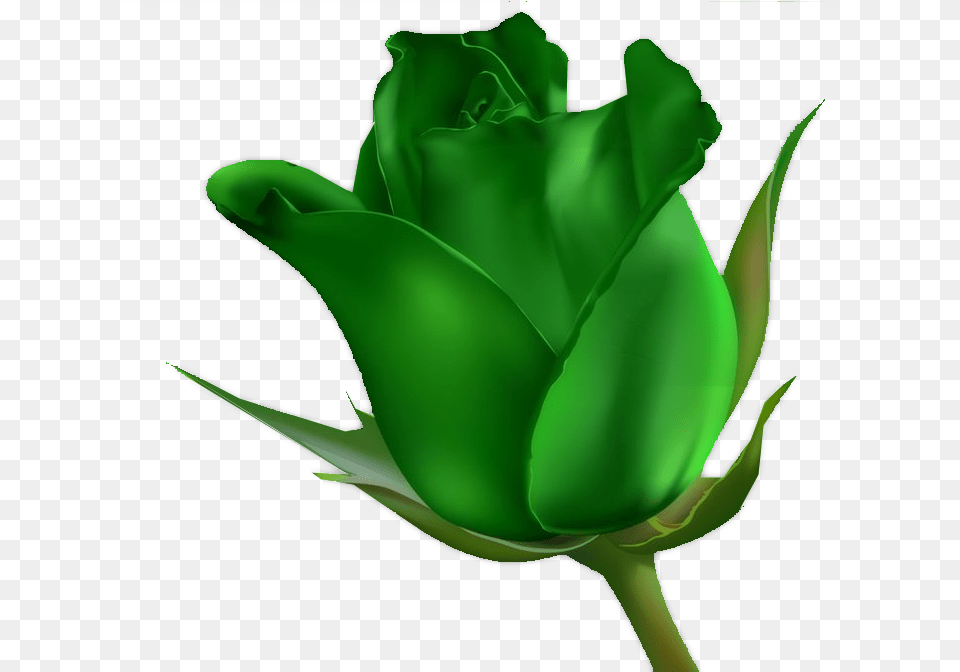 Floribunda, Flower, Green, Plant, Rose Free Png Download