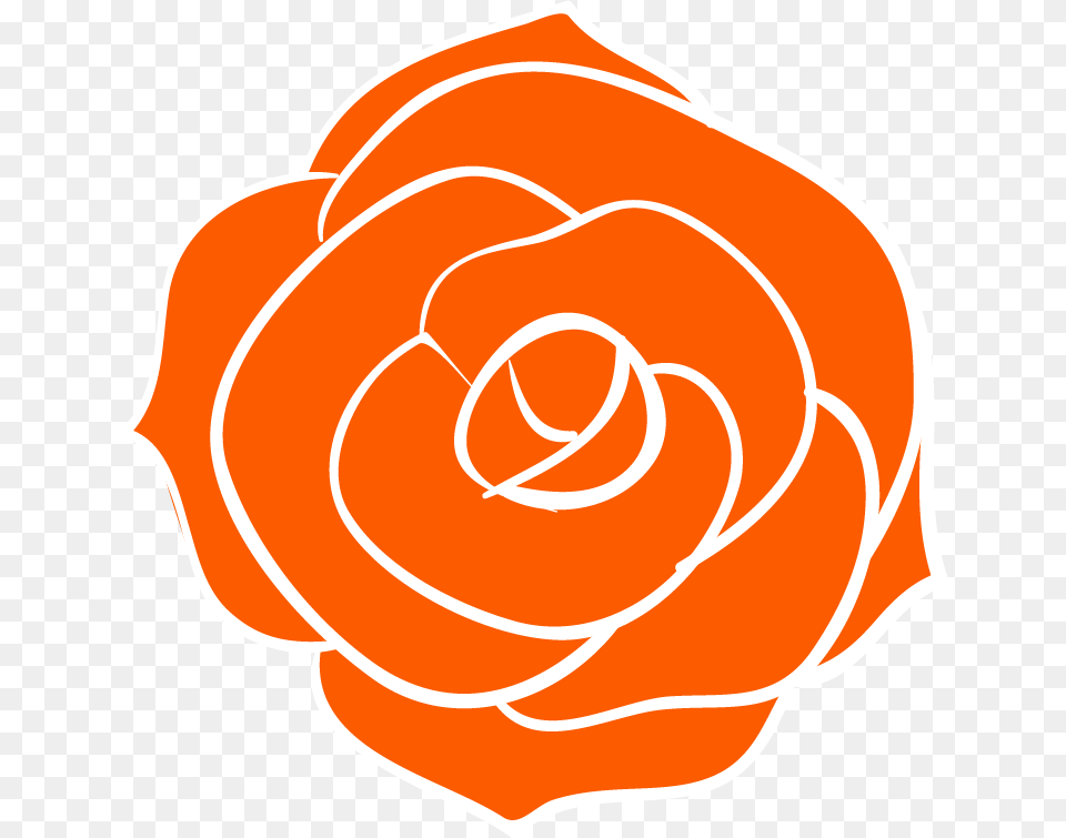 Floribunda, Flower, Plant, Rose, Food Free Png