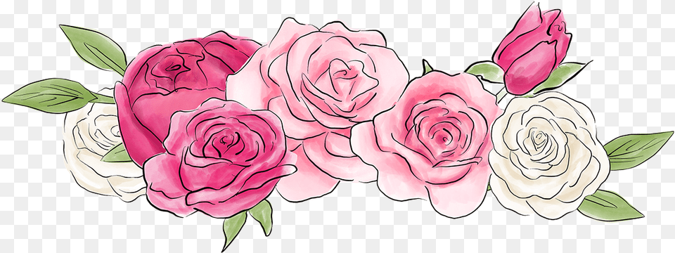 Floribunda, Flower, Plant, Rose, Art Png Image