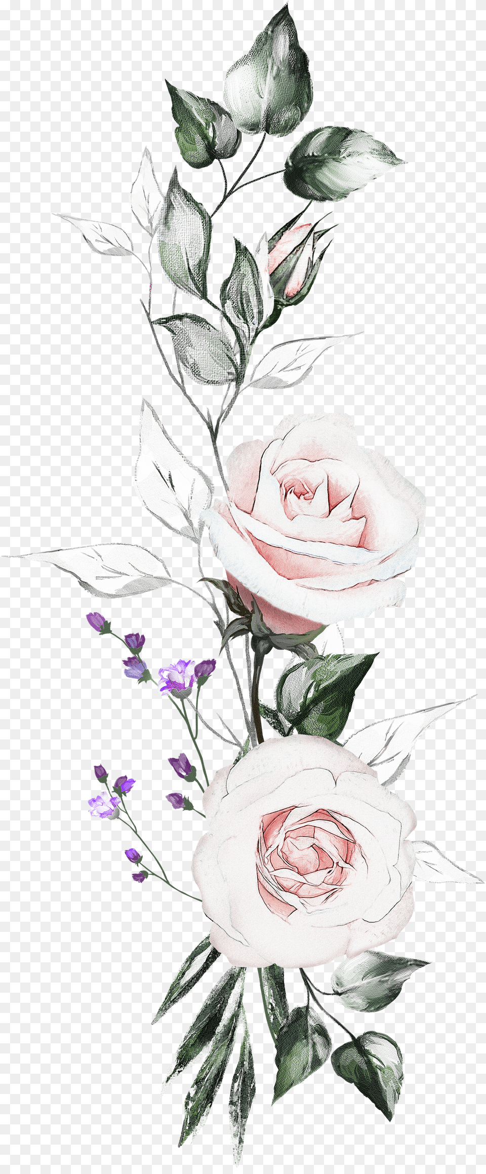 Floribunda Free Png