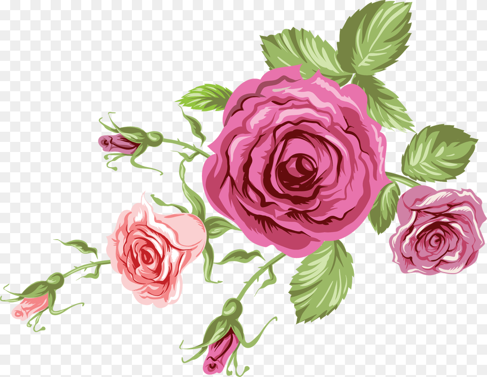 Floribunda, Art, Floral Design, Flower, Graphics Free Png