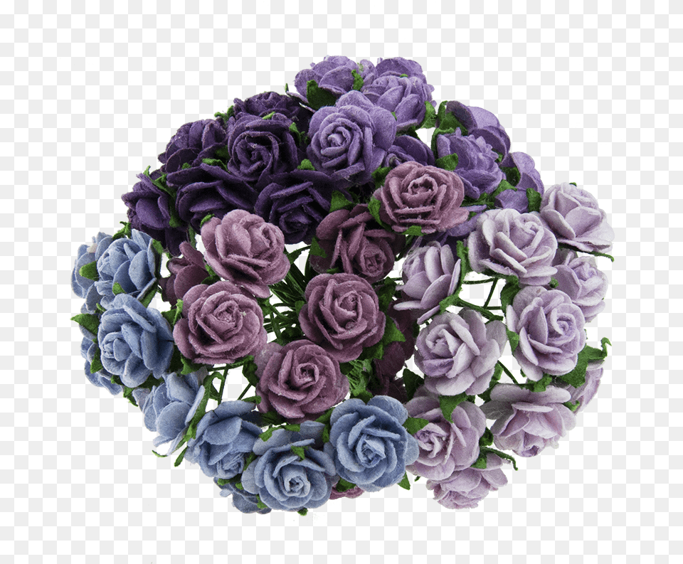 Floribunda, Flower, Flower Arrangement, Flower Bouquet, Pattern Png Image
