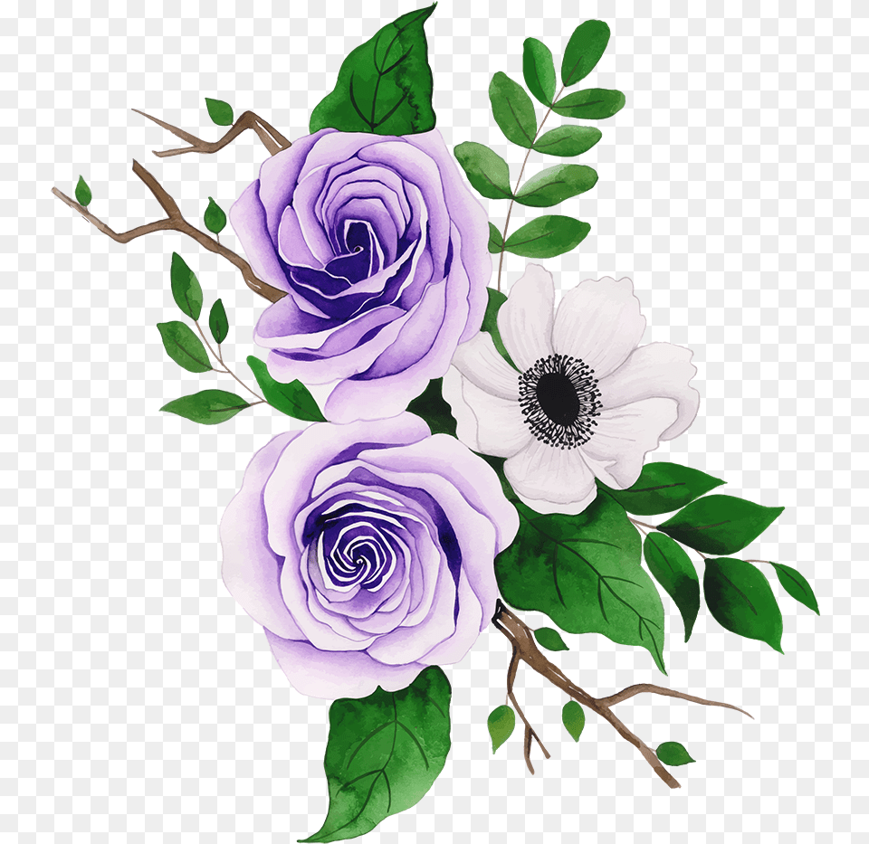 Floribunda, Flower, Plant, Rose, Art Png Image