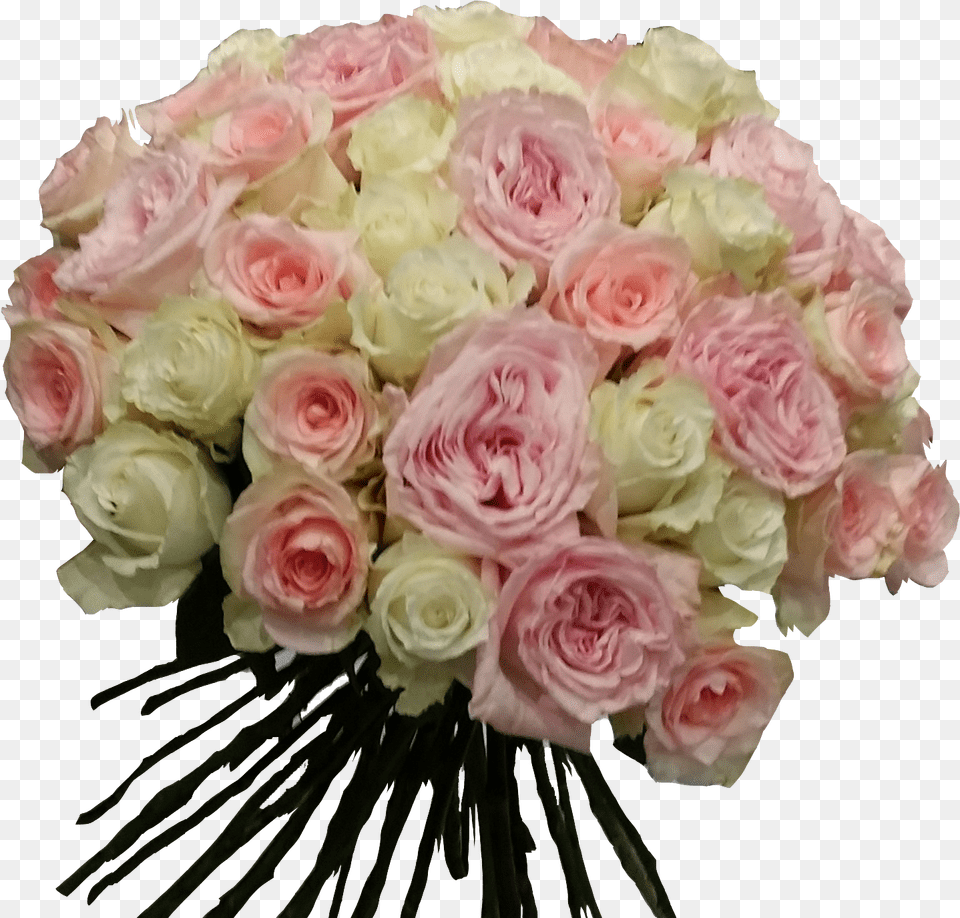 Floribunda, Rose, Plant, Flower, Flower Arrangement Free Transparent Png