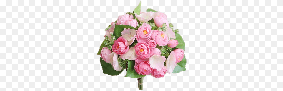 Floribunda, Flower, Flower Arrangement, Flower Bouquet, Plant Png
