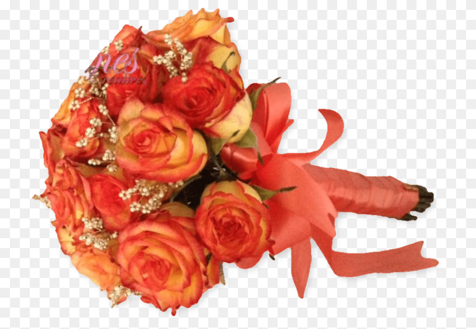Floribunda, Rose, Plant, Flower, Flower Arrangement Png Image