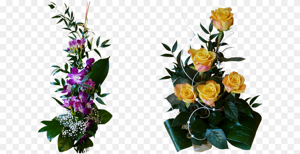 Floribunda, Flower, Flower Arrangement, Flower Bouquet, Plant Free Png