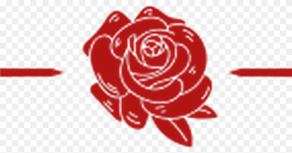 Floribunda, Logo, Flower, Plant, Rose Png Image