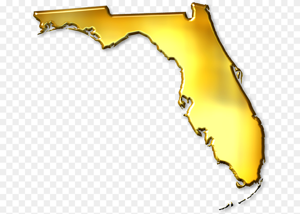 Florida Abstract Style Maps 11 Gold Metallic Gold Florida, Sunlight, Silhouette, Flare, Light Free Png Download
