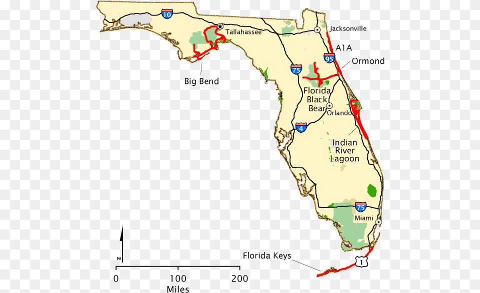 Florida Atlas, Chart, Plot, Land, Nature Free Png