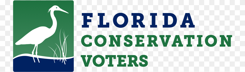 Florida Conservation Voters, Animal, Bird, Waterfowl, Crane Bird Png Image