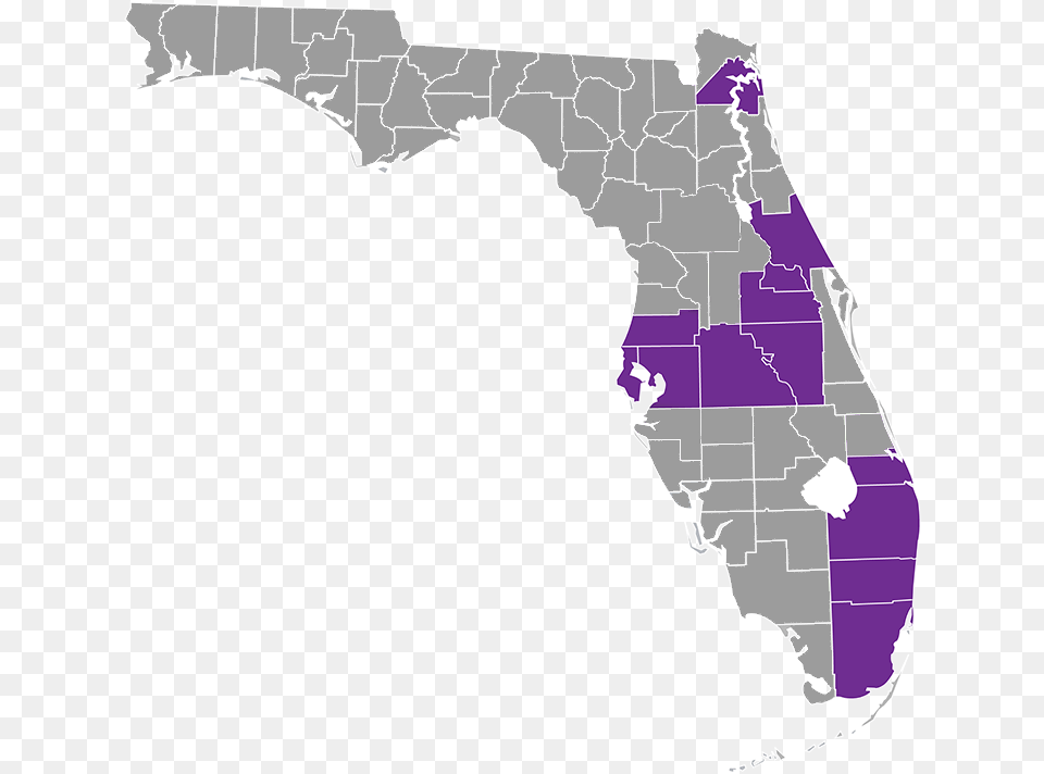 Florida County Map Vector, Plot, Chart, Adult, Wedding Free Png Download