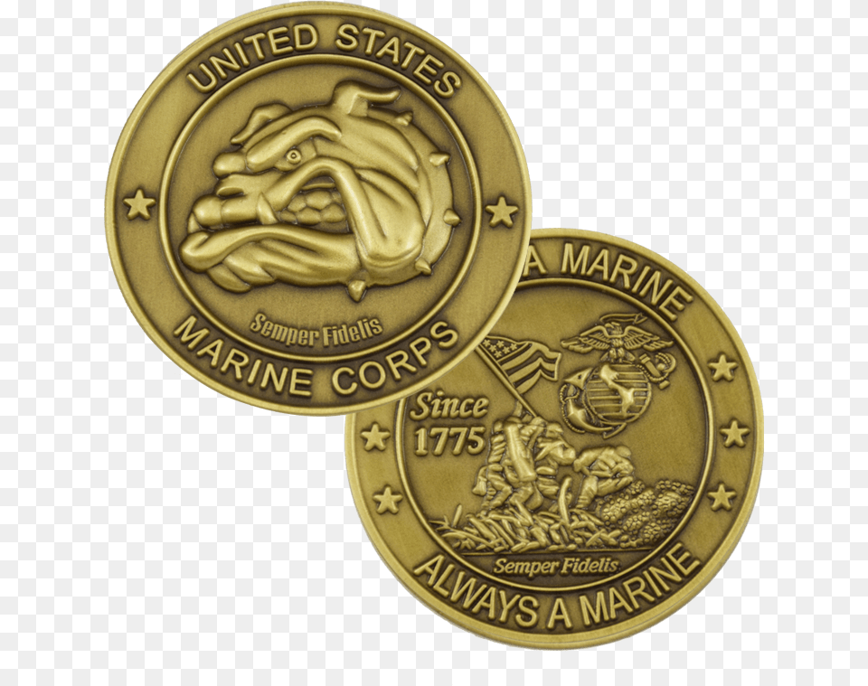 Florida Department Of Transportation, Gold, Coin, Money Png