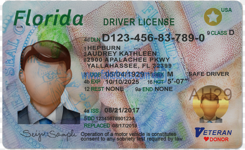 Florida Driver License Psd Template Florida Drivers License Psd, Text, Document, Baby, Id Cards Free Png Download