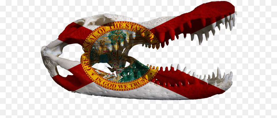 Florida Flag Gator Head, Adult, Female, Person, Woman Free Png