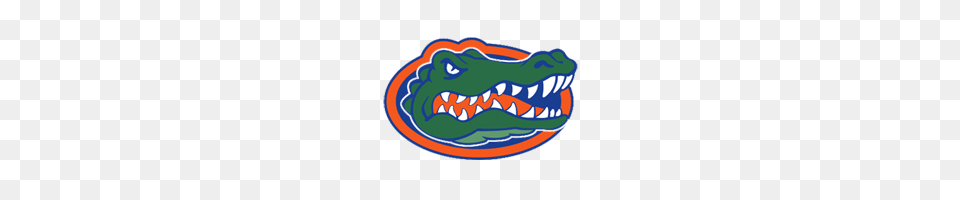 Florida Football Offers, Animal, Crocodile, Reptile, Food Free Png Download