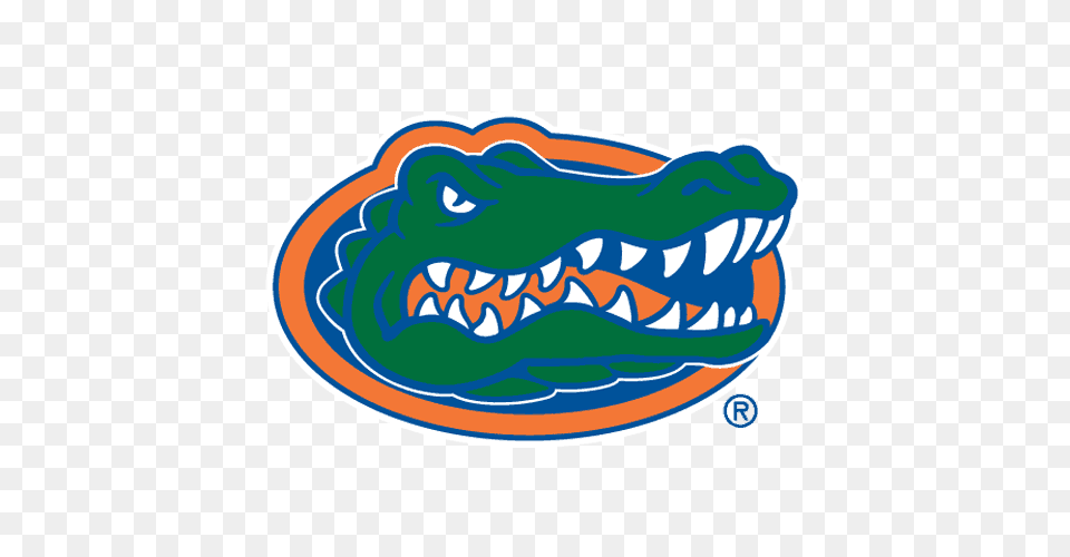 Florida Football Schedule, Animal, Reptile, Crocodile Free Png