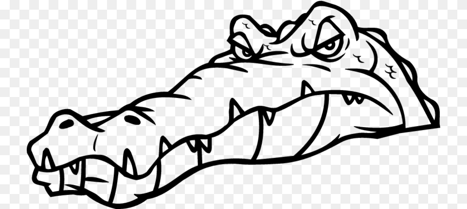 Florida Gators Football Bulldog American Alligator Line Art, Gray Png