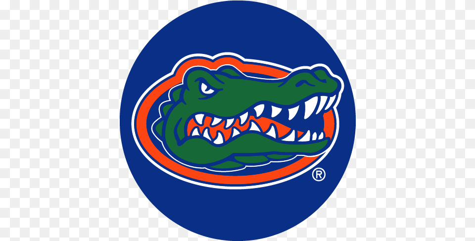 Florida Gators Football Transparent Uf Redbubble Stickers Free Png Download