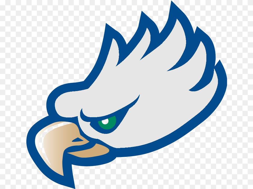 Florida Gulf Coast Eagles Logo, Animal, Beak, Bird, Eagle Free Transparent Png
