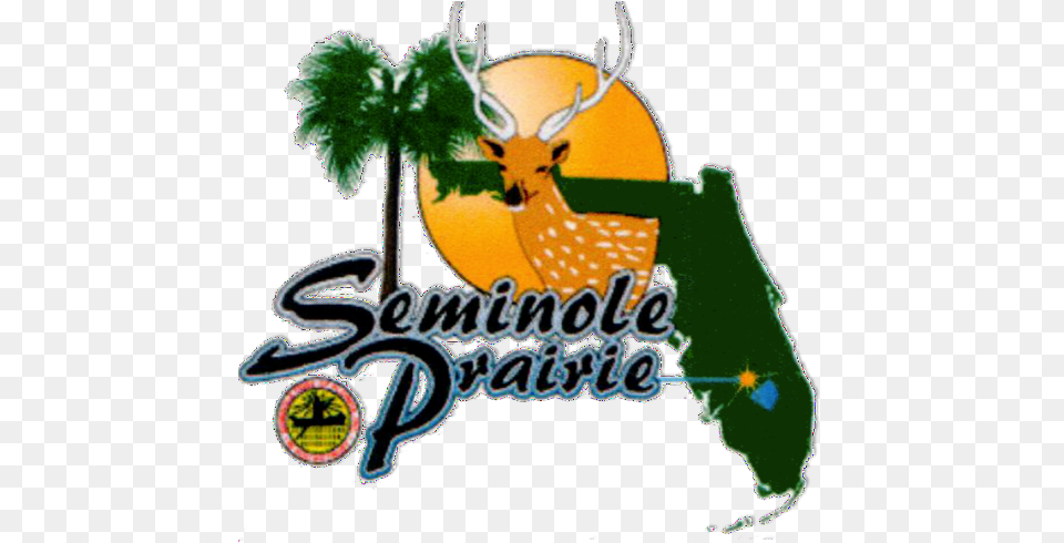 Florida Hunting Ranch Seminole Prairie Safaris Seminole Prairie Safaris, Animal, Deer, Mammal, Wildlife Png Image