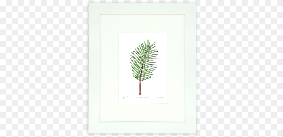 Florida Is Known For Its Native Palms But The Lipstick Illustration, Plant, Tree, Fern, Leaf Free Png Download