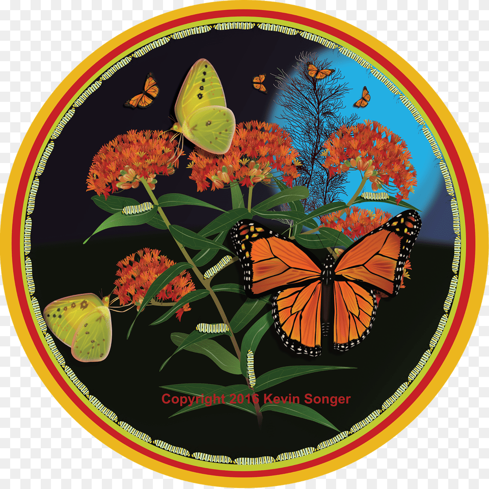 Florida Nature Art Monarch And Milkweed Monarch Butterfly, Animal, Insect, Invertebrate Png Image