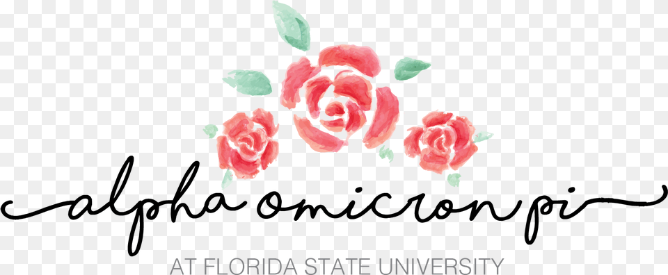Florida Outline Garden Roses, Flower, Petal, Plant, Rose Free Png