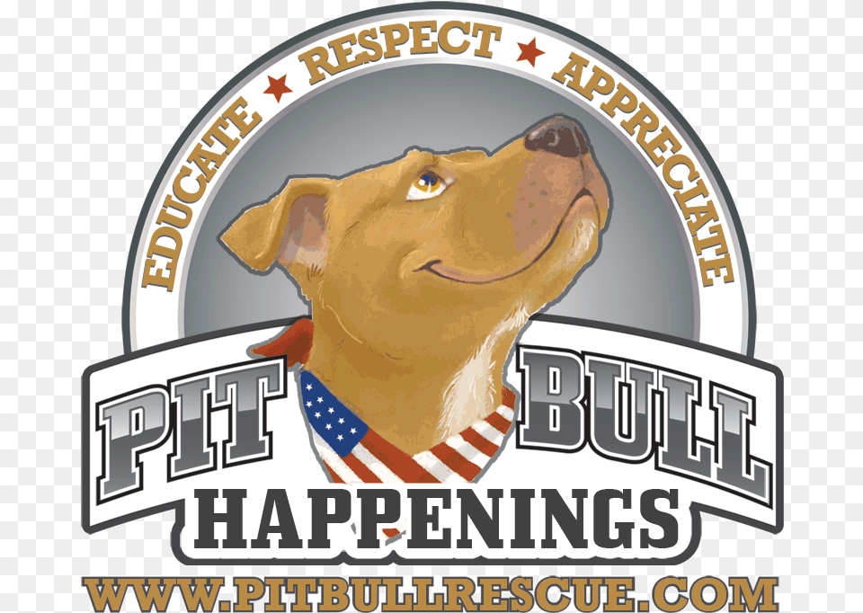 Florida Pit Bull And Dog Rescue Millencolin, Person, Face, Head, Adult Free Png