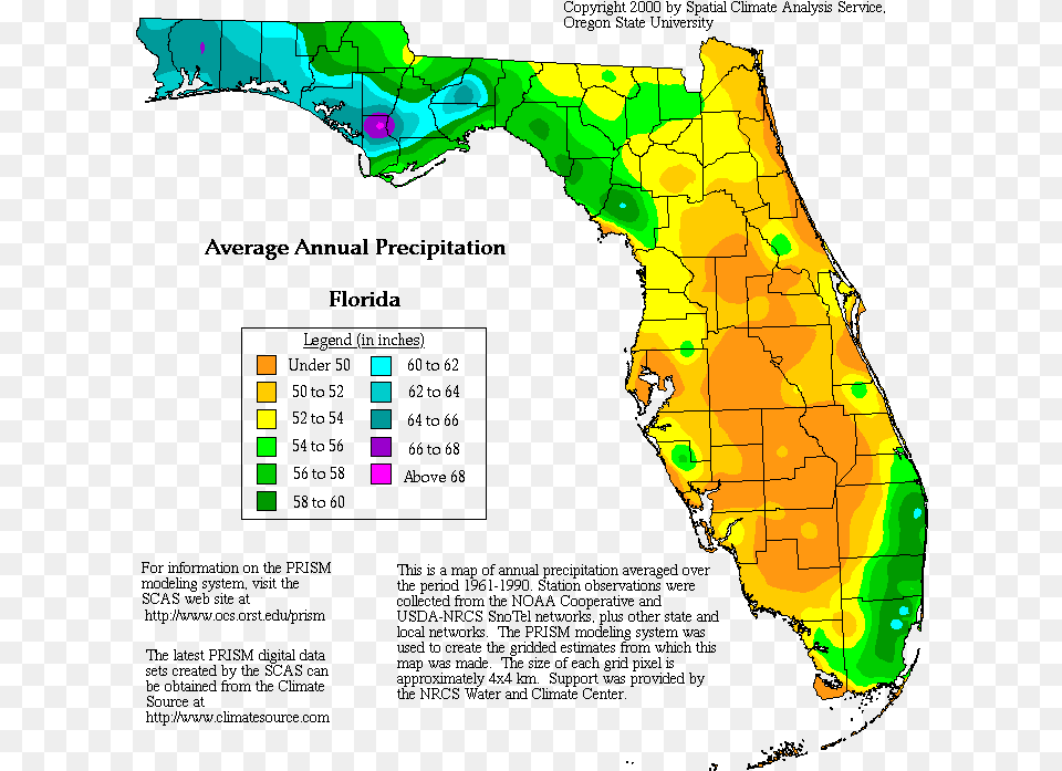 Florida Rainfall Map, Chart, Plot, Person, Outdoors Png Image