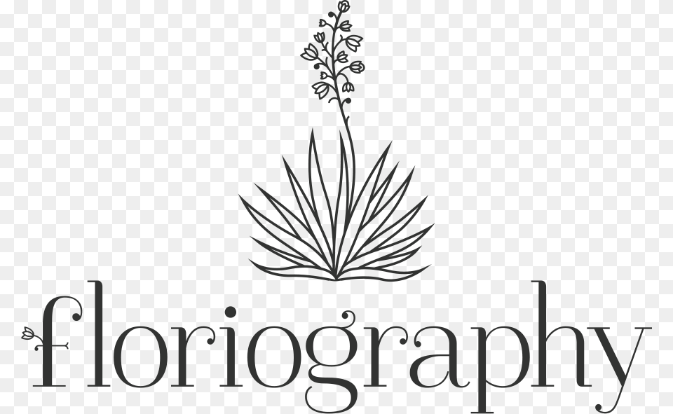 Floriography Flowers Calligraphy, Grass, Plant, Text, Flower Png Image