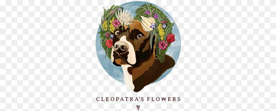 Florist Cleopatrau0027s Flowers United States Boston Terrier, Envelope, Graphics, Mail, Greeting Card Png