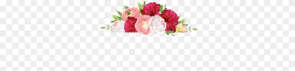 Florist In Baton Rouge Fresh Flowers Same Day Delivery Pink, Art, Plant, Pattern, Graphics Free Png Download