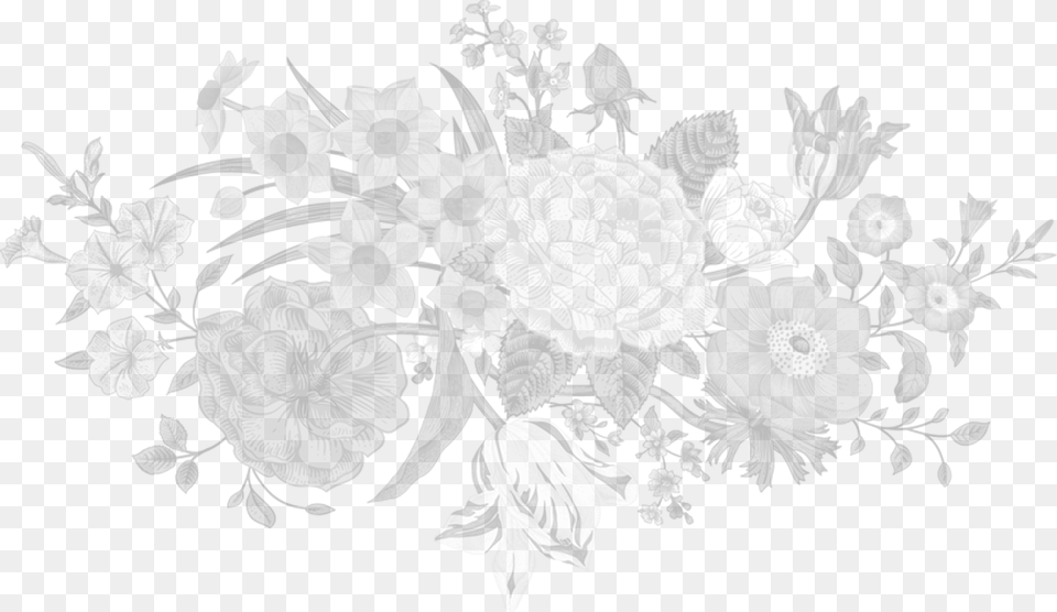 Florist In Kent White Flowers For Wedding, Art, Floral Design, Graphics, Pattern Free Transparent Png