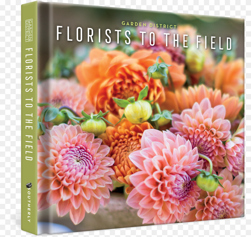 Florists To The Field Common Zinnia, Dahlia, Flower, Plant, Flower Arrangement Png Image