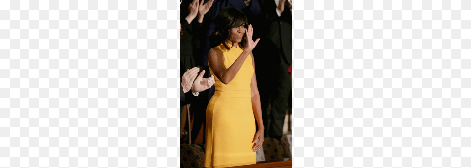 Flotus Happy Birthday Michelle Obama Vestido Vogue Michelle Obama 2013, Adult, Person, Woman, Female Png