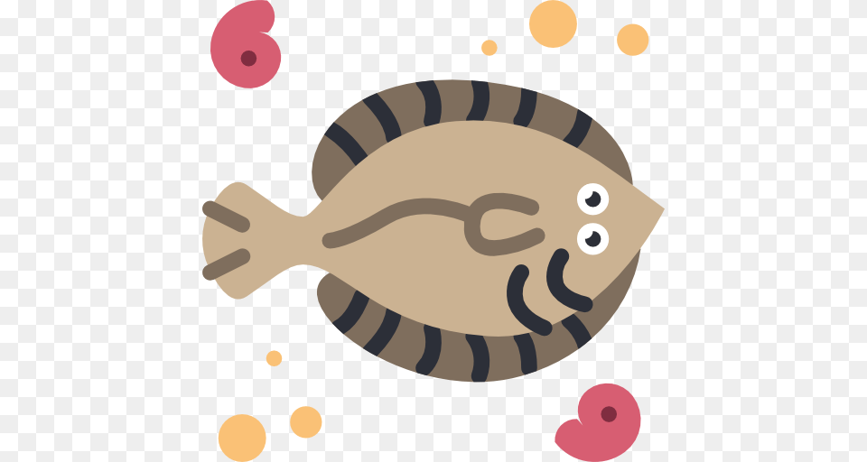 Flounder, Animal, Sea Life, Fish, Shark Free Png Download