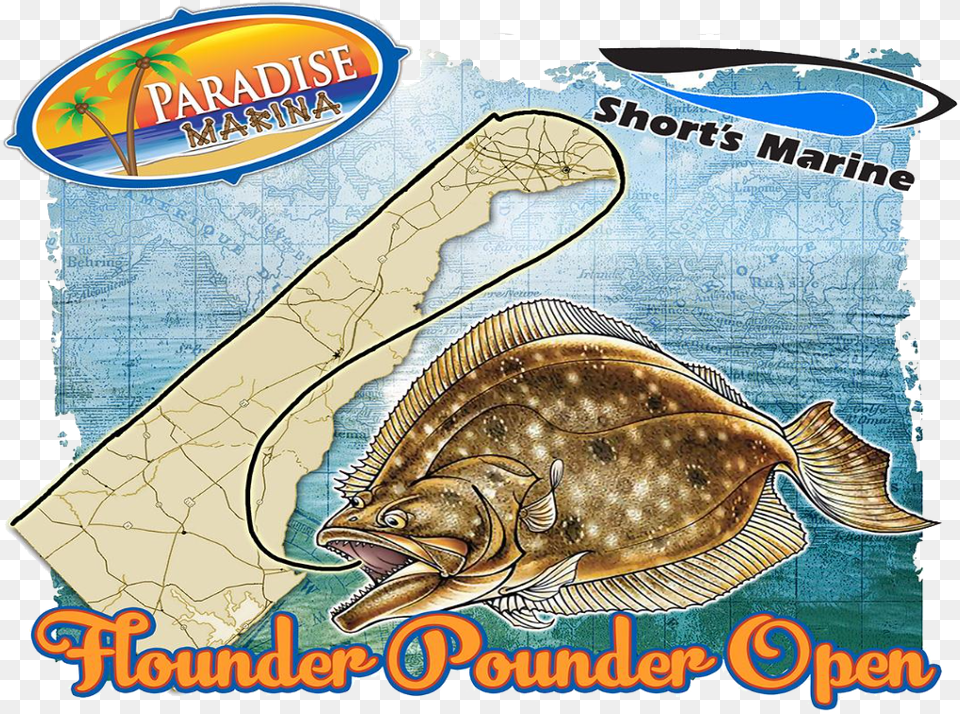Flounder Pounder Paradise Grill, Animal, Fish, Sea Life, Halibut Free Png Download